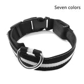 Nylon LED Pet Dog Luminous Collar - Swefashionstore