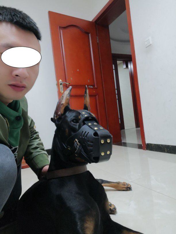 Maulkorb aus Rindsleder für mittelgroße und große Hunde