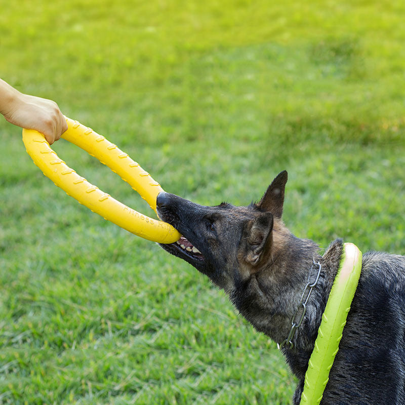 Pet Dog Training Toy Pull Ring - Swefashionstore