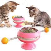 Rotatable Cat Toys With Catnip - Swefashionstore