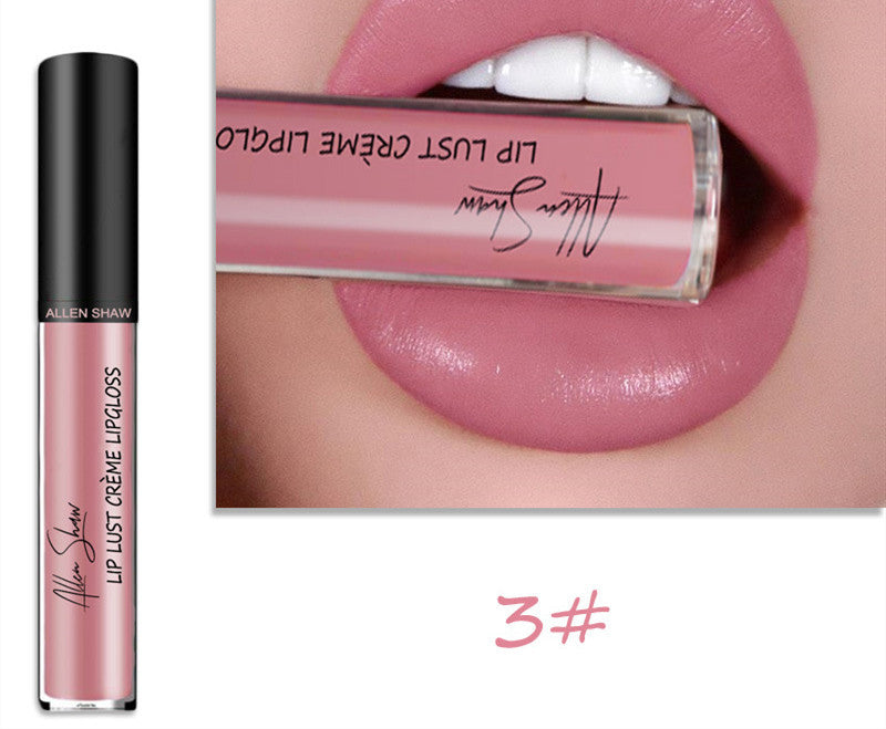 Silky Cream Texture Lip Gloss Aliexpress Shopee Cross-Border Exclusive Lip Glaze Lip Gloss Lipstick - Swefashionstore