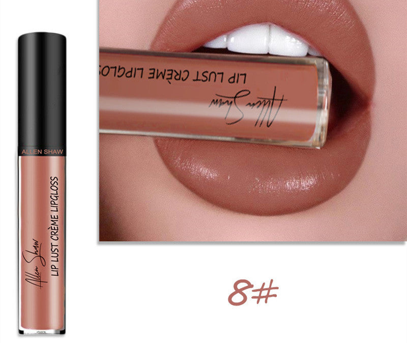 Silky Cream Texture Lip Gloss Aliexpress Shopee Cross-Border Exclusive Lip Glaze Lip Gloss Lipstick - Swefashionstore