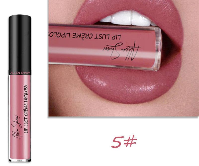 Silky Cream Texture Lip Gloss Aliexpress Shopee Cross-Border Exclusive Lip Glaze Lip Gloss Lipstick - Swefashionstore