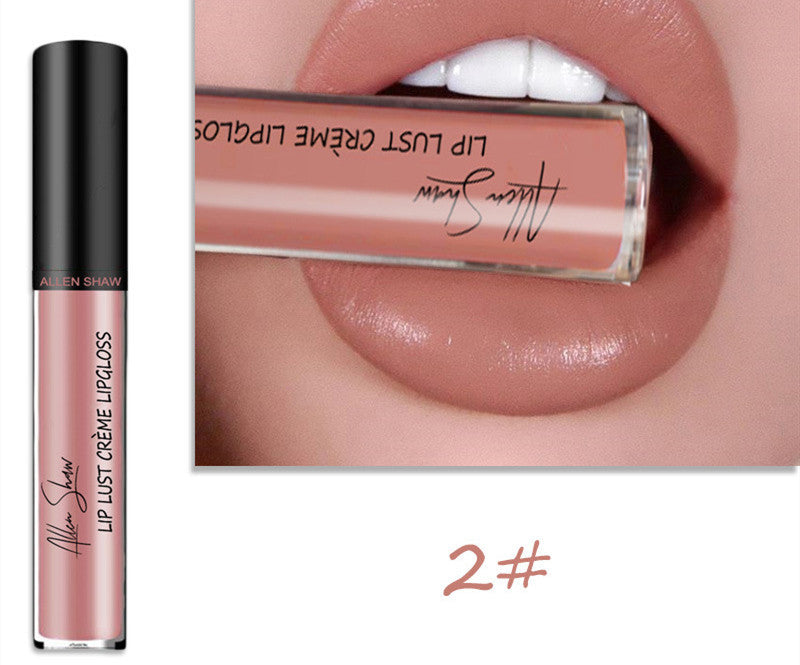 Silky Cream Texture Lip Gloss Aliexpress Shopee Cross-Border Exclusive Lip Glaze Lip Gloss Lipstick - Swefashionstore