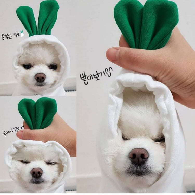 Dog Clothes For Small Dogs Hoodies - Swefashionstore