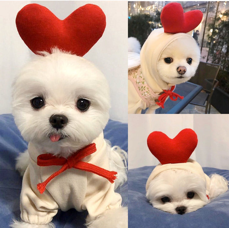 Dog Clothes For Small Dogs Hoodies - Swefashionstore