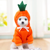 Dog Clothes For Small Dogs Hoodies - Swefashionstore