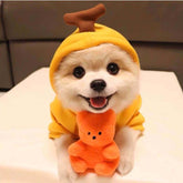 Dog Clothes For Small Dogs Hoodies - Swefashionstore