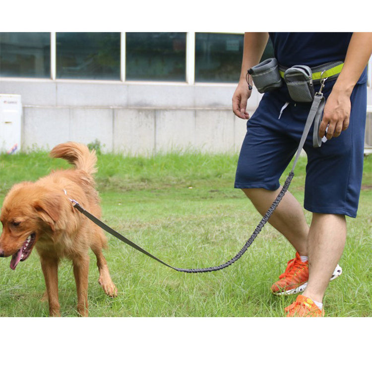 Adjustable Hands Free Dog Leash - Swefashionstore