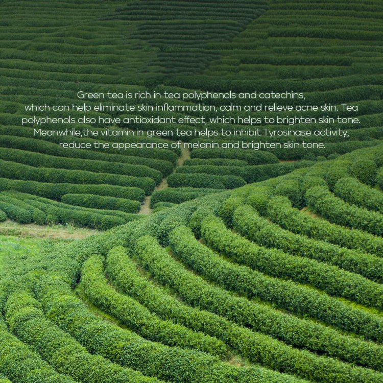 Green Tea Toner 100ml Moisturizing Lotion Skin Care Products - Swefashionstore