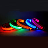 Nylon LED Pet Dog Luminous Collar - Swefashionstore
