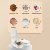 Automatic Pet Feeder Smart Food Dispenser For Cats Dogs Timer Stainless Steel Bowl Auto Dog Cat Pet Feeding Pets Supplies - Swefashionstore