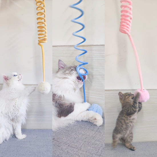 Cat Toy Self-Hi Sucker Spring Rabbit - Swefashionstore