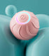 Smart Cat Toys Rolling Ball - Swefashionstore