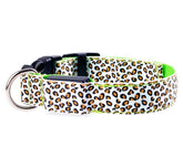 LED Dog Collar Safety Adjustable Nylon Leopard Pet Collar - Swefashionstore