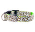 LED Dog Collar Safety Adjustable Nylon Leopard Pet Collar - Swefashionstore