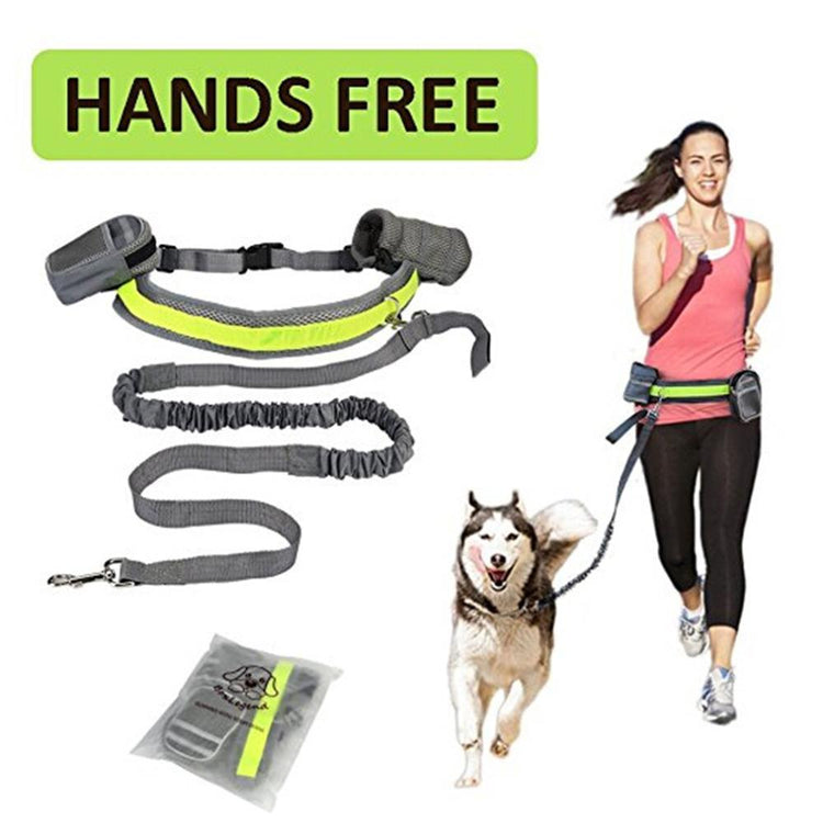 Adjustable Hands Free Dog Leash - Swefashionstore