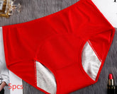 5PCS Menstrual Underwear Women Leak Proof Panties - Swefashionstore