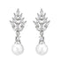 Stylish And Simple Personality Micro Inlaid Zircon Pearl Earrings - Swefashionstore