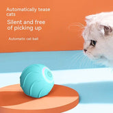 Smart Cat Toys Rolling Ball - Swefashionstore