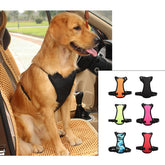 Car seat belts for pets - Swefashionstore