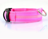 Nylon LED Pet Dog Luminous Collar - Swefashionstore