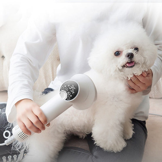 Smart Pet Hair Dryer Cleaning Supplies Pet Products - Swefashionstore