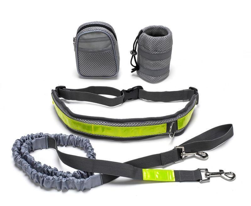 Adjustable Hands Free Dog Leash - Swefashionstore