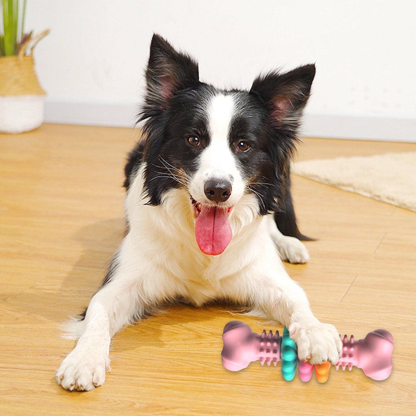 Dog Chew Toy Teeth Cleaning Indestructible TPR Bone