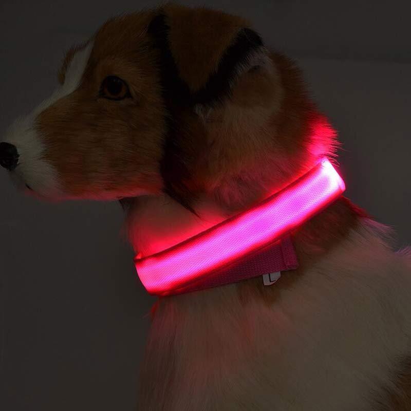 Nylon LED Pet Dog Luminous Collar - Swefashionstore