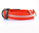 Nylon LED Pet Dog Luminous Collar - Swefashionstore