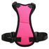 Car seat belts for pets - Swefashionstore