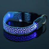LED Dog Collar Safety Adjustable Nylon Leopard Pet Collar - Swefashionstore