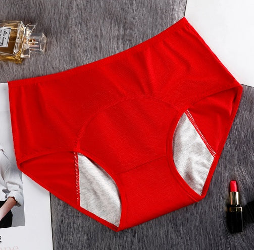 5PCS Menstrual Underwear Women Leak Proof Panties - Swefashionstore