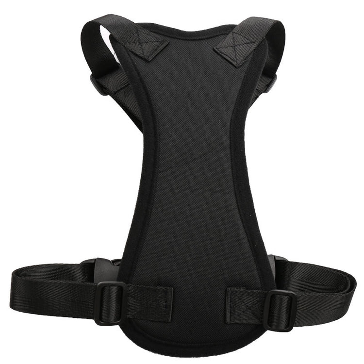 Car seat belts for pets - Swefashionstore