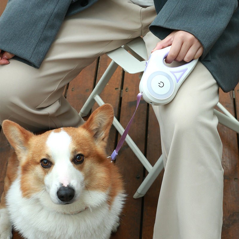 Automatic Retractable Leash Dog Collar Spotligh