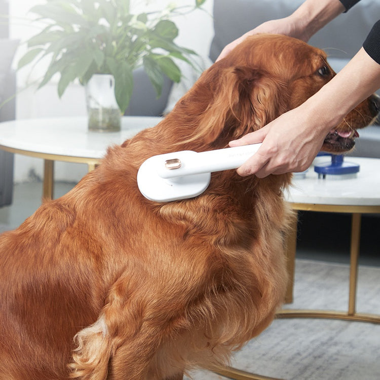 Pet Comb Cat Dog To Remove Floating Hair - Swefashionstore