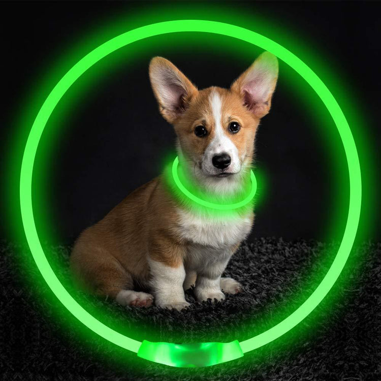 Pet Flashing Collar USB Rechargeable Necklace - Swefashionstore