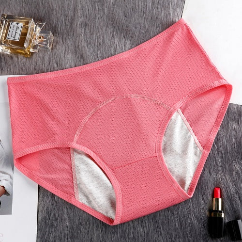 5PCS Menstrual Underwear Women Leak Proof Panties - Swefashionstore