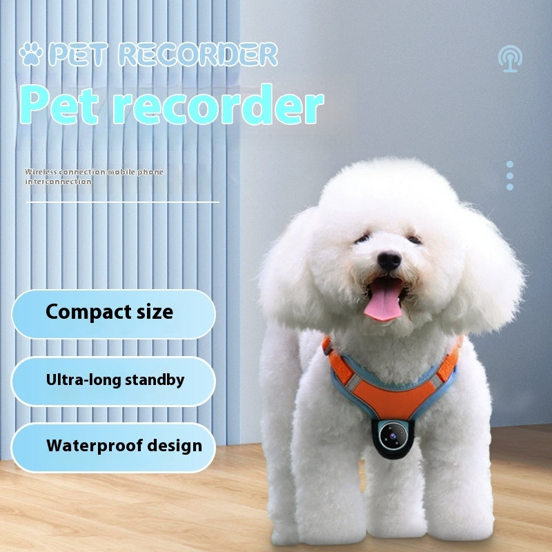 Pets Recorder Pet Tracker Collar Dogs And Cats - Swefashionstore
