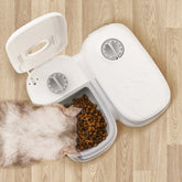 Automatic Pet Feeder Smart Food Dispenser For Cats Dogs Timer Stainless Steel Bowl Auto Dog Cat Pet Feeding Pets Supplies - Swefashionstore