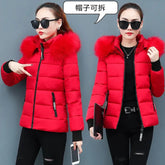 New Cotton-Padded Jacket Women&
