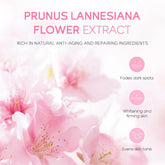 Sakura Skin Care Sets Facial Cleanser Face Face Toner Sunscreen Products Care Moisturizing Smoothing Nourishing - Swefashionstore