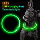 Pet Flashing Collar USB Rechargeable Necklace - Swefashionstore