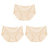 3Pcs Seamless Underwear Silk For Women Panties Lingerie Sexy - Swefashionstore