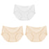 3Pcs Seamless Underwear Silk For Women Panties Lingerie Sexy - Swefashionstore