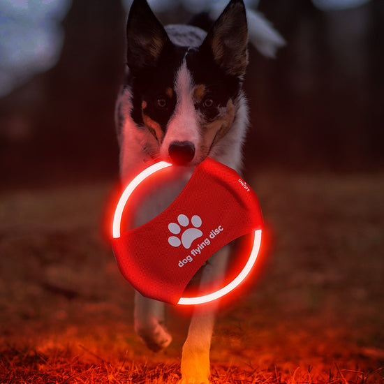 Dog Flying Discs Light Glowing LED - Swefashionstore