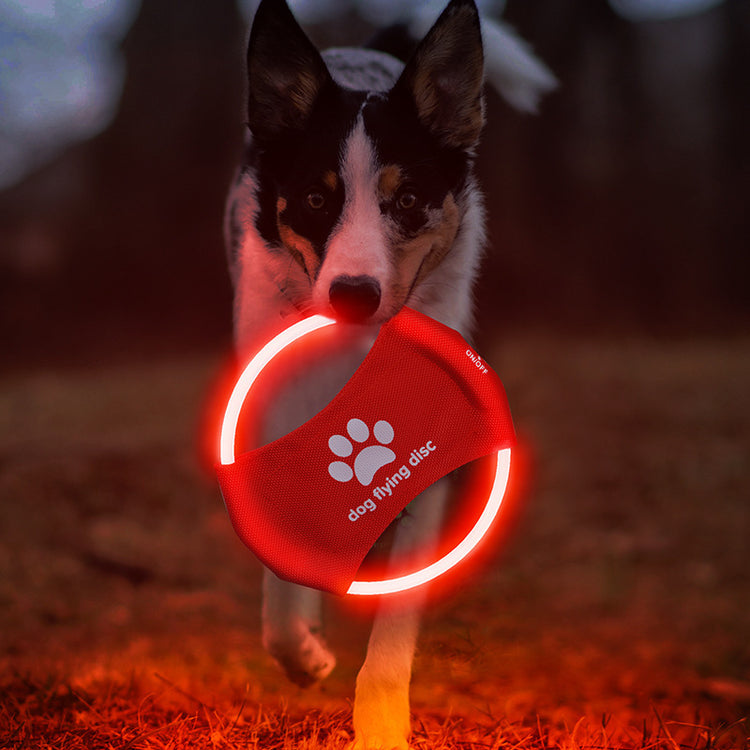 Dog Flying Discs Light Glowing LED - Swefashionstore