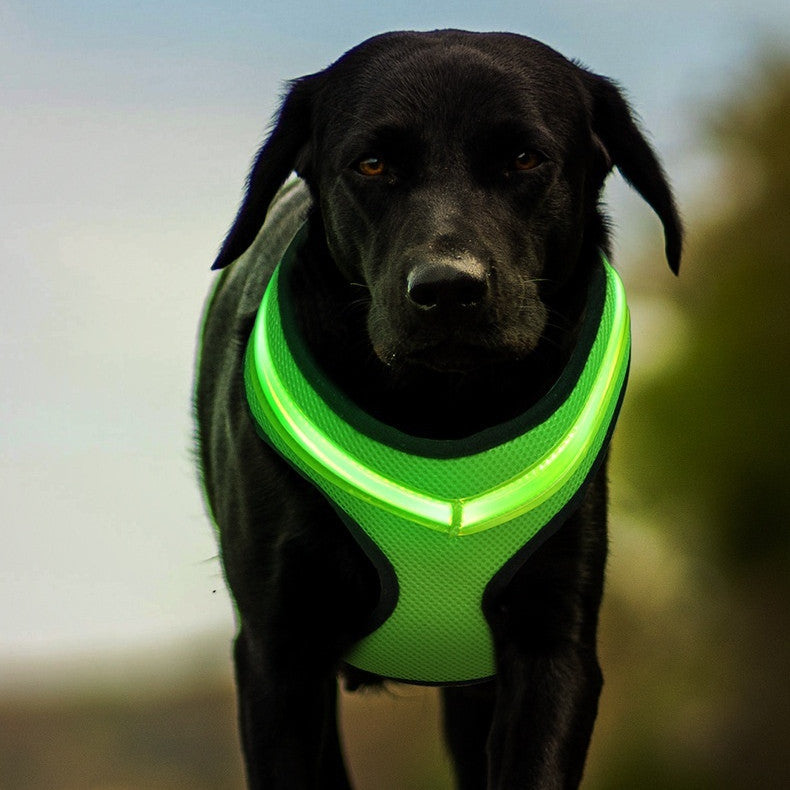 LED Luminous Dog Harness - Swefashionstore
