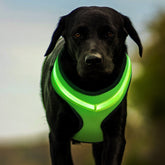 LED Luminous Dog Harness - Swefashionstore